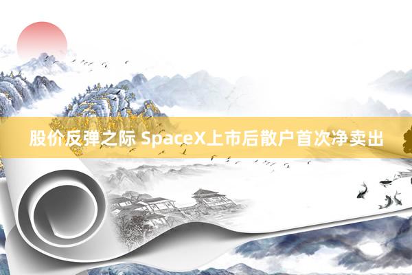 股价反弹之际 SpaceX上市后散户首次净卖出