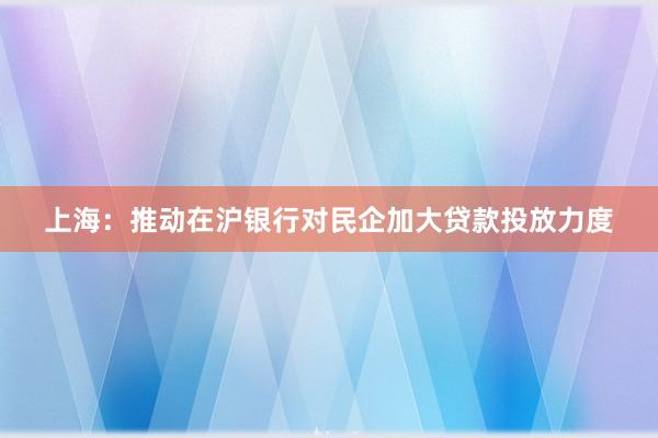 上海：推动在沪银行对民企加大贷款投放力度