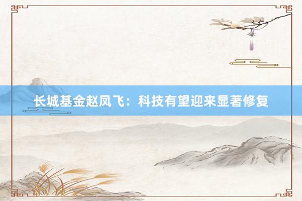 长城基金赵凤飞：科技有望迎来显著修复