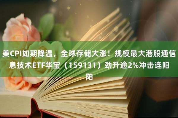美CPI如期降温，全球存储大涨！规模最大港股通信息技术ETF华宝（159131）劲升逾2%冲击连阳