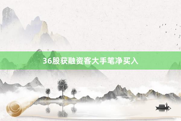 36股获融资客大手笔净买入