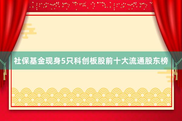 社保基金现身5只科创板股前十大流通股东榜