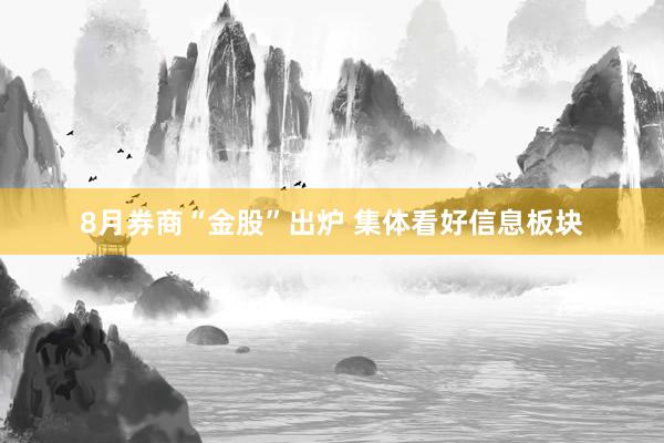8月券商“金股”出炉 集体看好信息板块