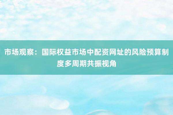市场观察：国际权益市场中配资网址的风险预算制度多周期共振视角