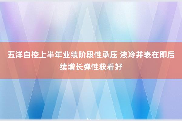 五洋自控上半年业绩阶段性承压 液冷并表在即后续增长弹性获看好