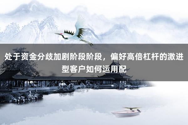 处于资金分歧加剧阶段阶段，偏好高倍杠杆的激进型客户如何运用配