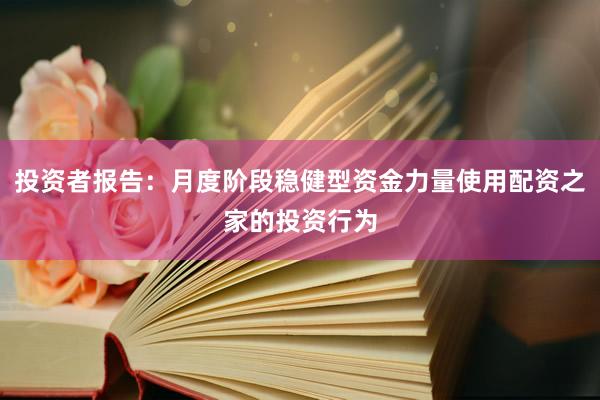 投资者报告：月度阶段稳健型资金力量使用配资之家的投资行为
