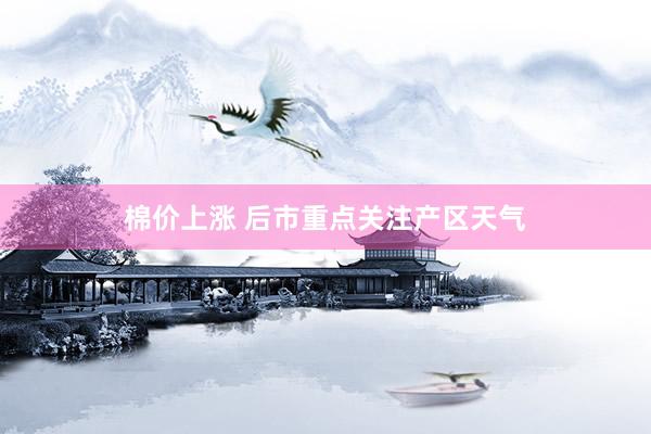 棉价上涨 后市重点关注产区天气