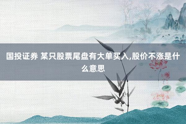 国投证券 某只股票尾盘有大单买入,股价不涨是什么意思