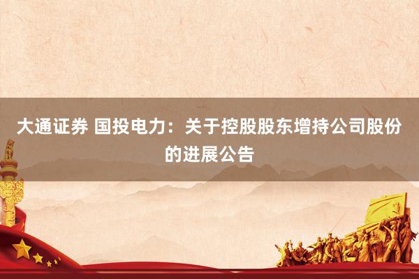 大通证券 国投电力：关于控股股东增持公司股份的进展公告