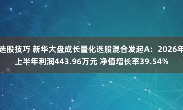 选股技巧 新华大盘成长量化选股混合发起A：2026年上半年利润443.96万元 净值增长率39.54%